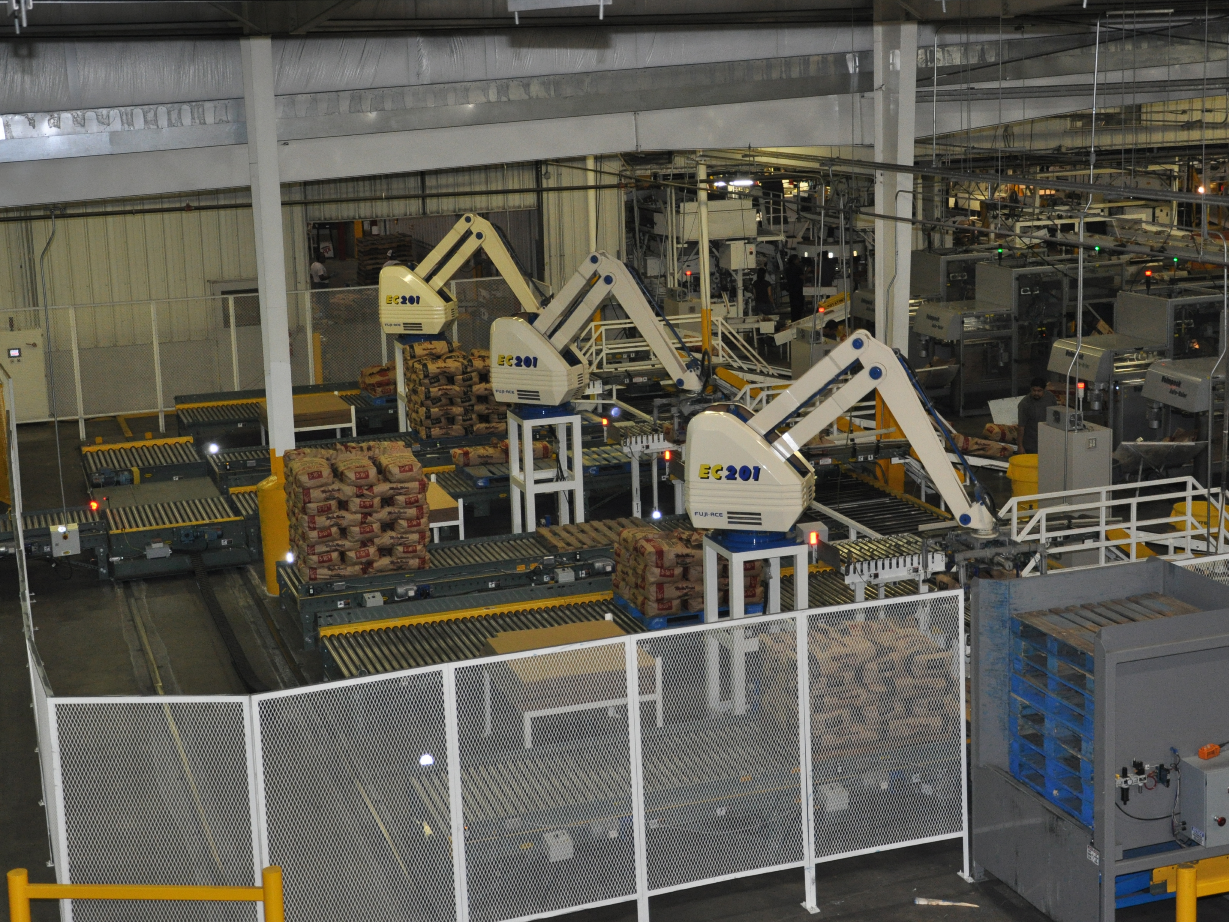 Palletizer Machine Manufacturers in  Europe