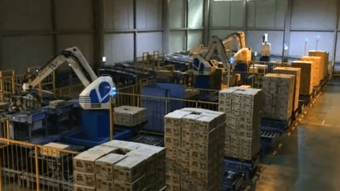 Leading Robotic Palletizer Manufacturer in Europe