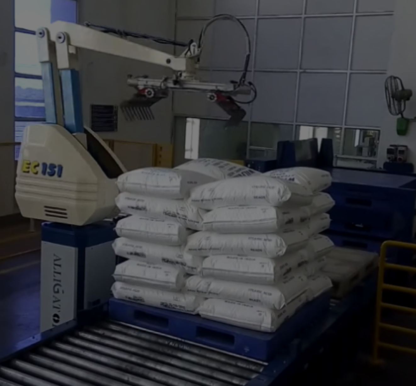 Medium Speed Robotic Palletizing
