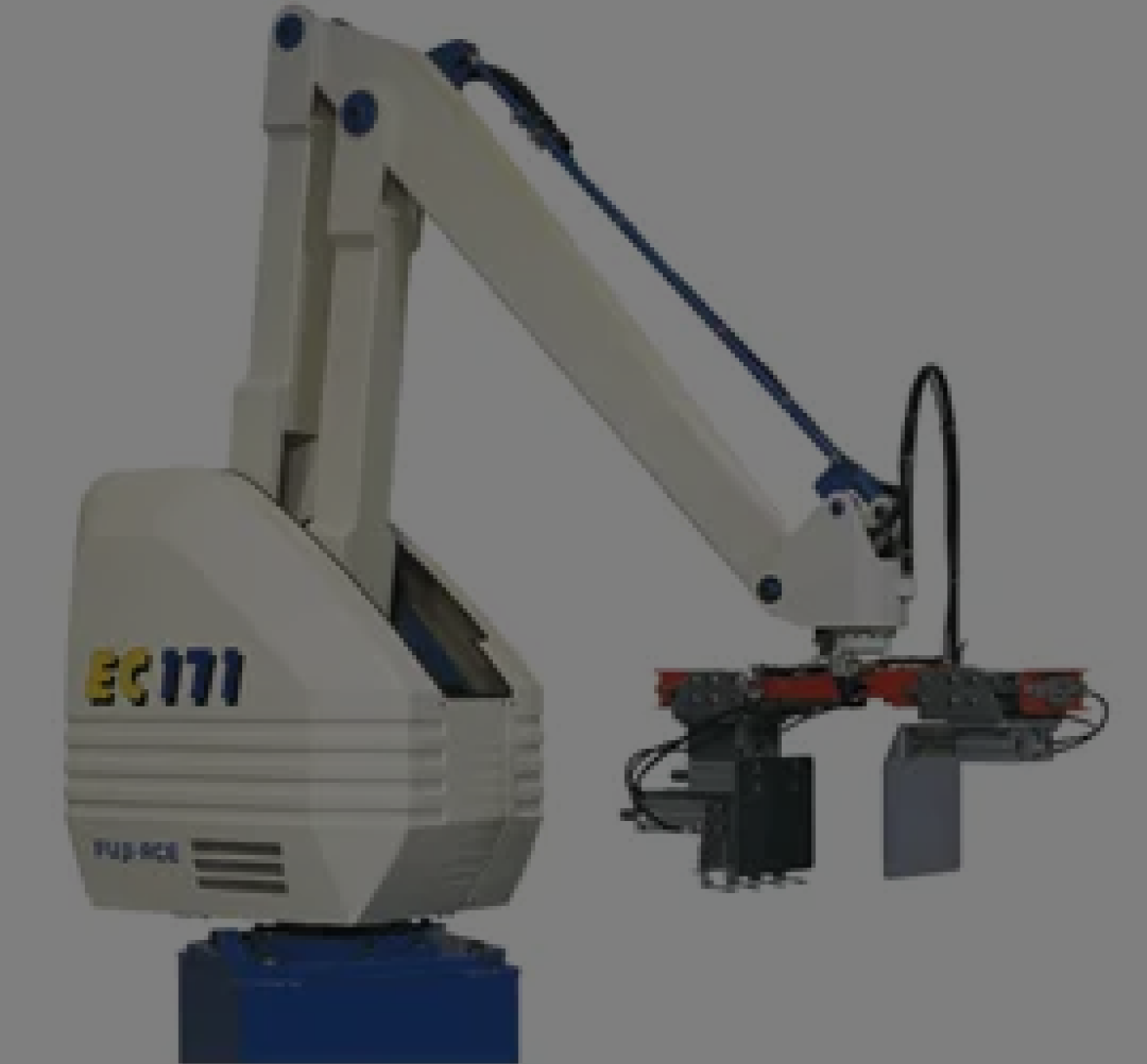 Heavy Payload Robotic Palletizer