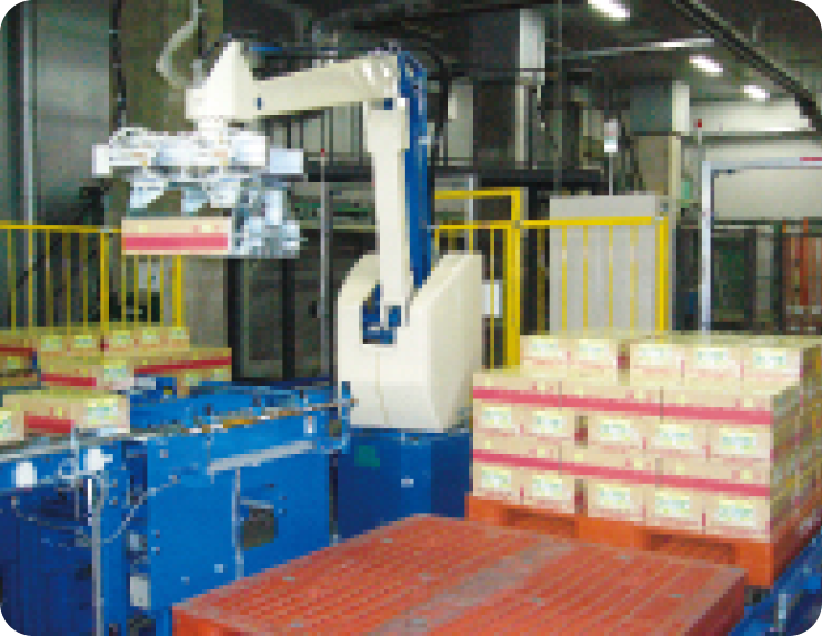 Palletizer Machine Manufacturers in  Europe
