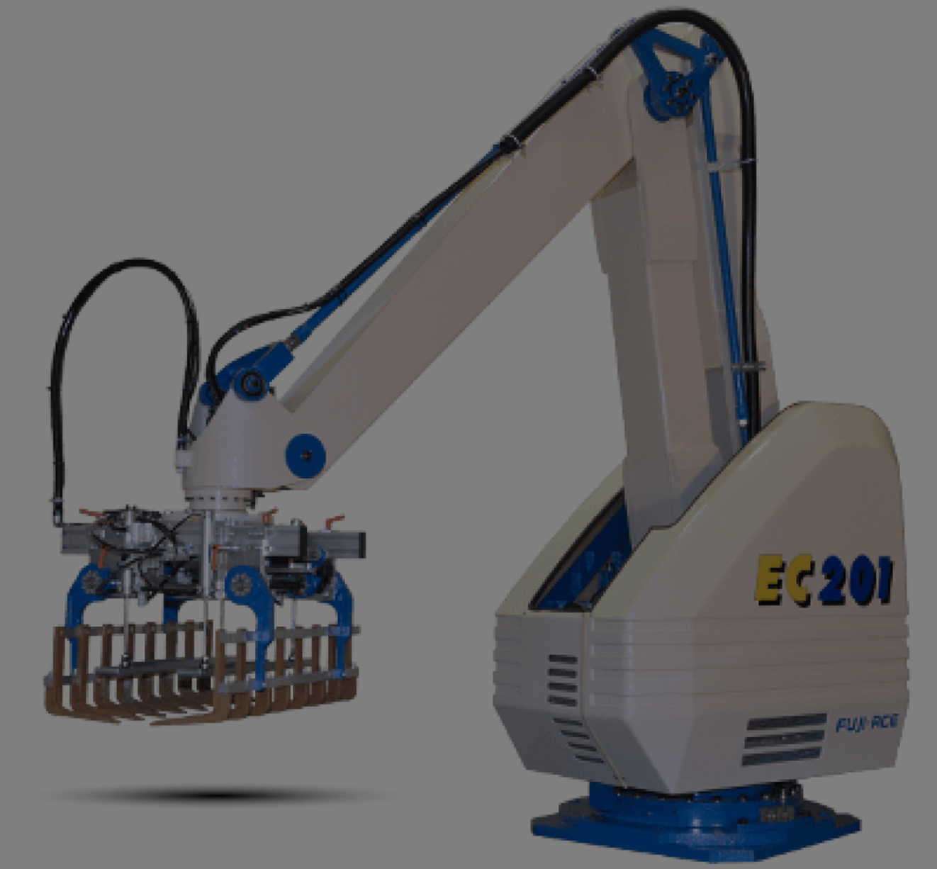 Box/carton palletizing robots in  Europe